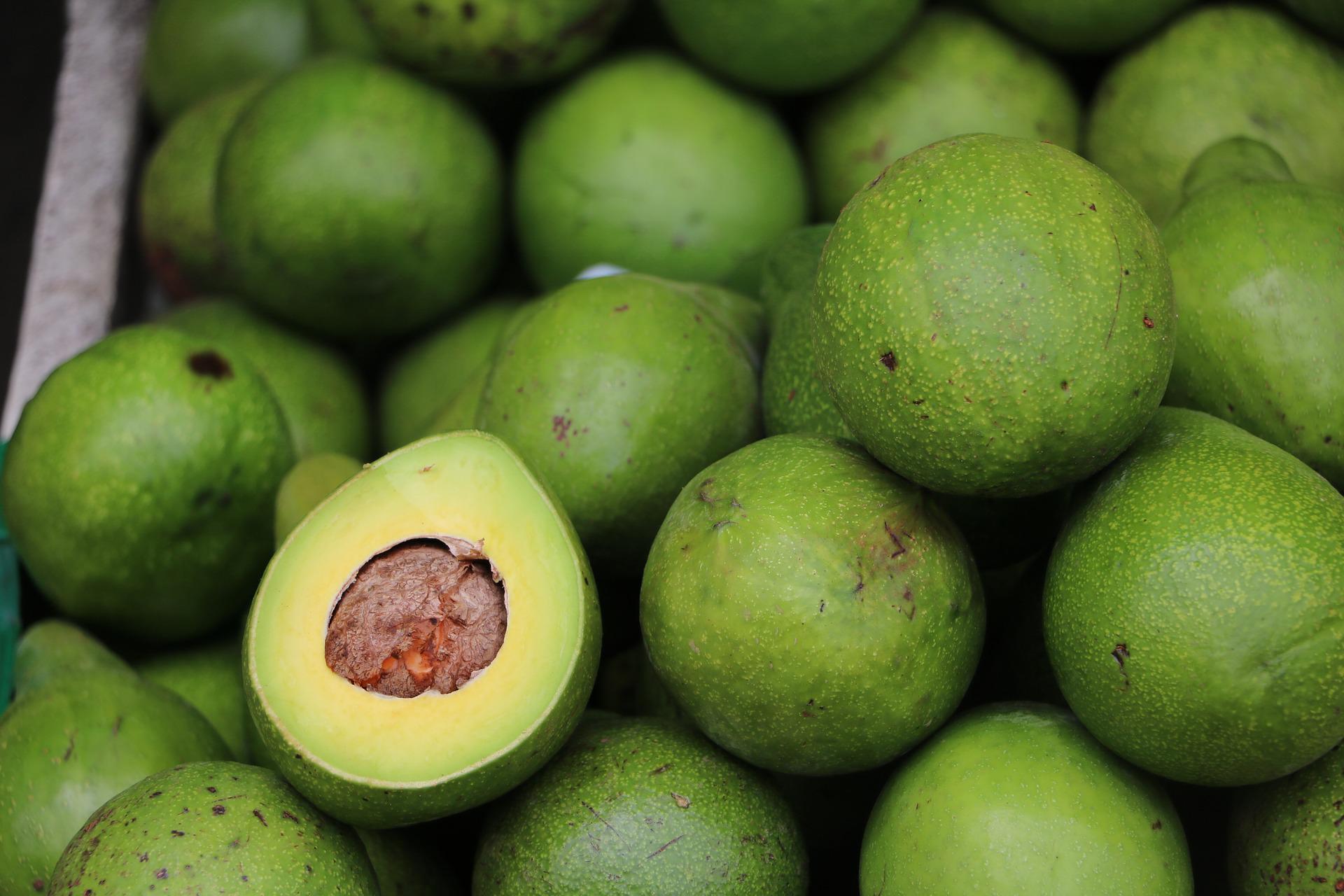 10 Ways Avocados Can Make You Much Healthier
