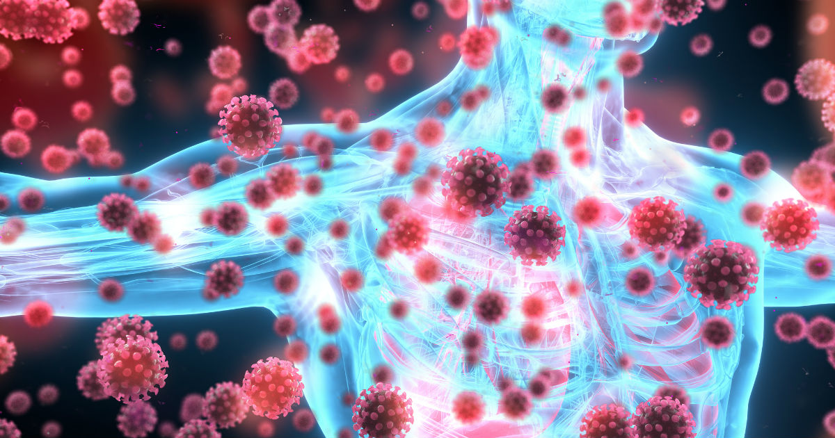 Improve Your Immune System