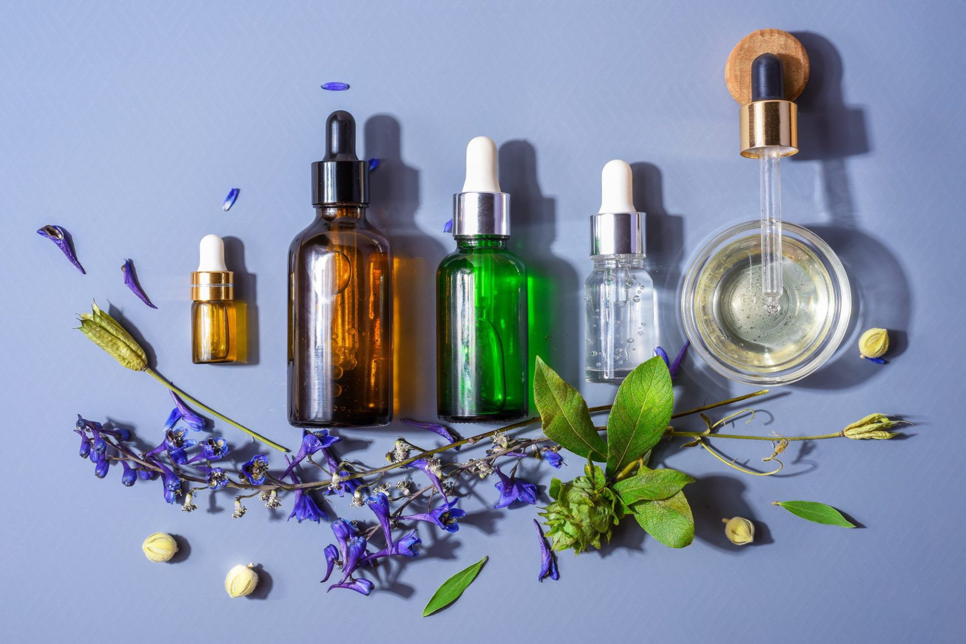Flower Remedies: for Individualism & a Tendency to Self-Centeredness