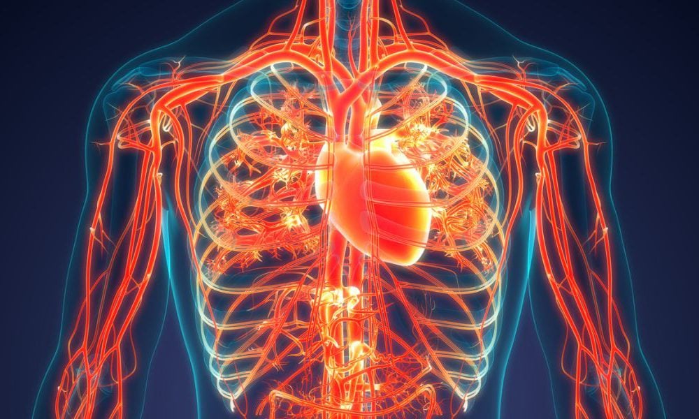 How To Improve Blood Circulation: 9 Natural Ways