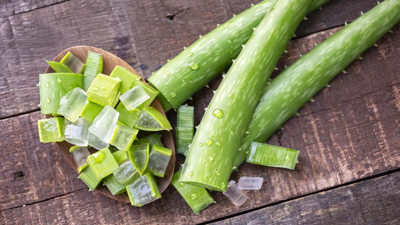9 Powerful Properties And Benefits Of Aloe Vera