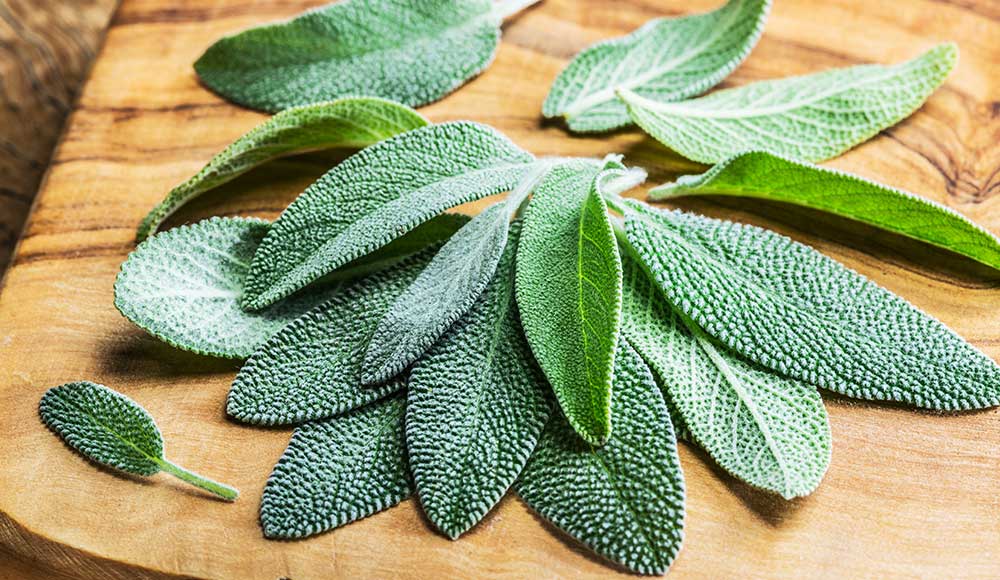 4 Proven Benefits Of Sage: Major Properties And Best Uses