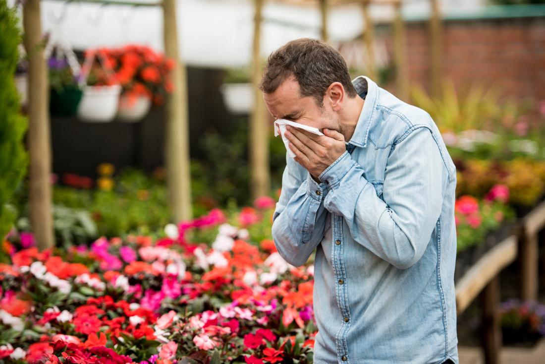 Best Natural Antihistamines