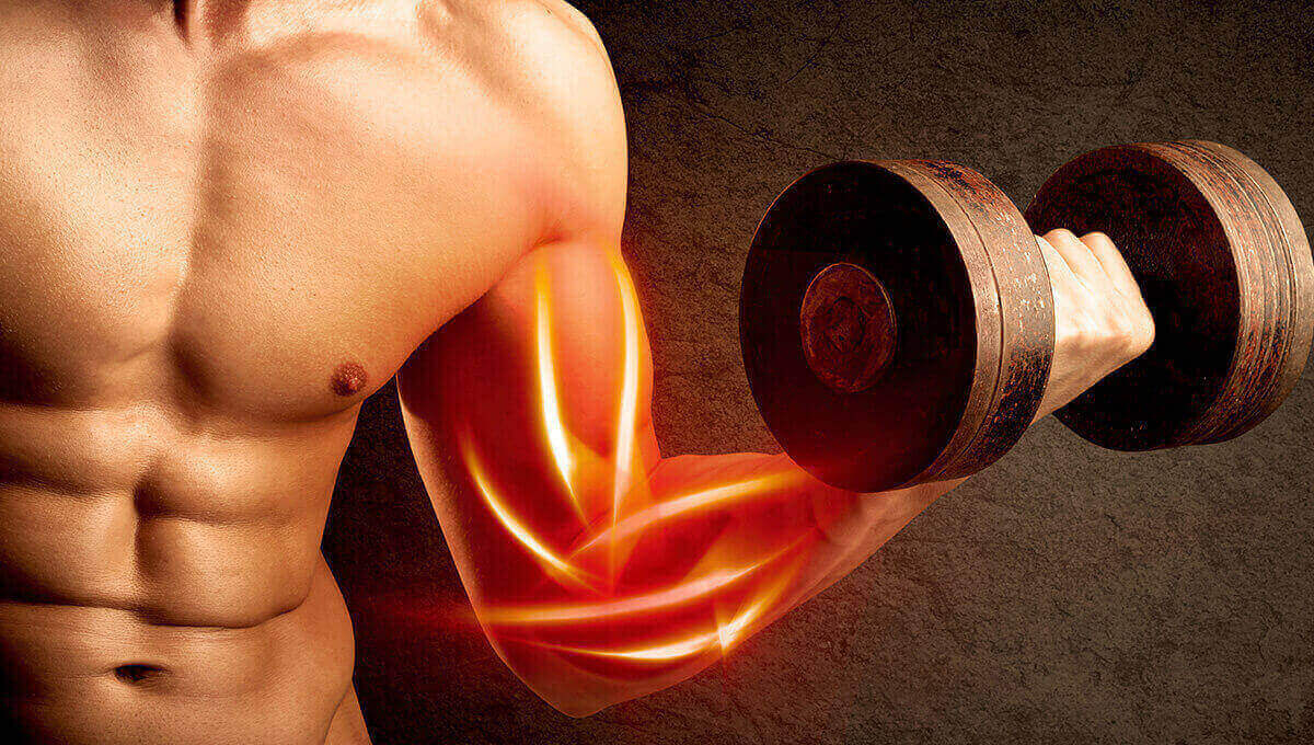 Supplements For Muscle Growth