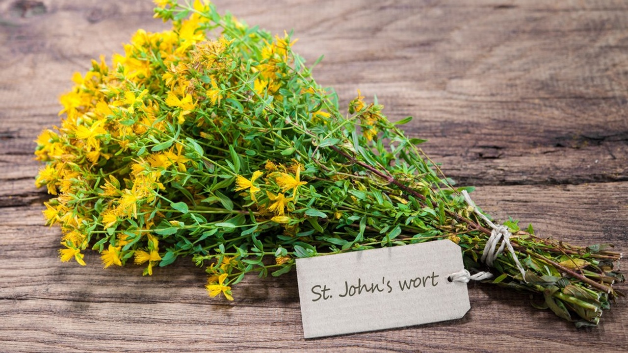 St. John’s Wort And Depression: Everything You Need to Know