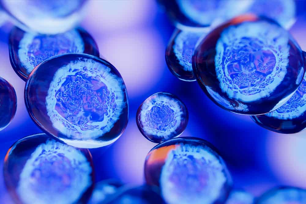 What Is NAD? Unravelling the Molecule of Life