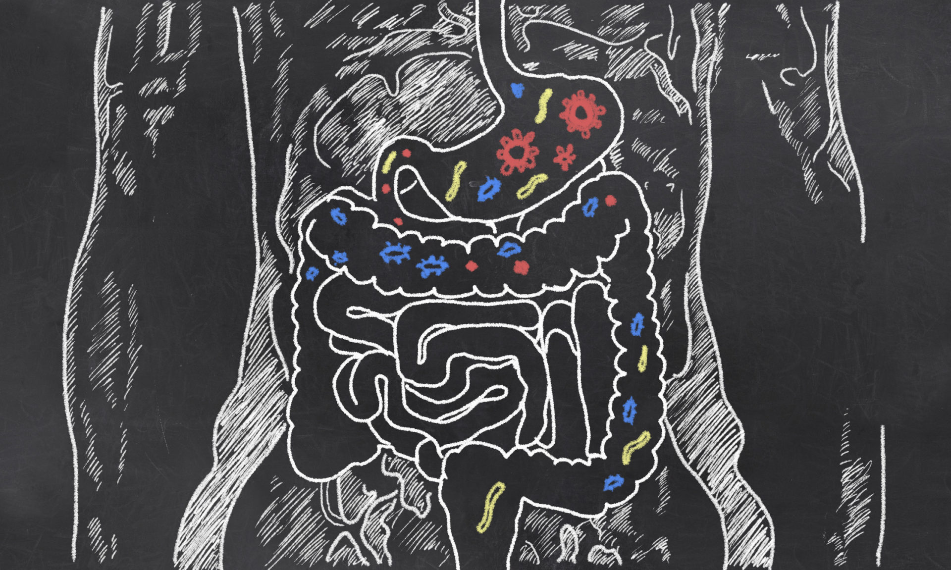 The Best Herbal Remedies And Foods For Leaky Gut Syndrome