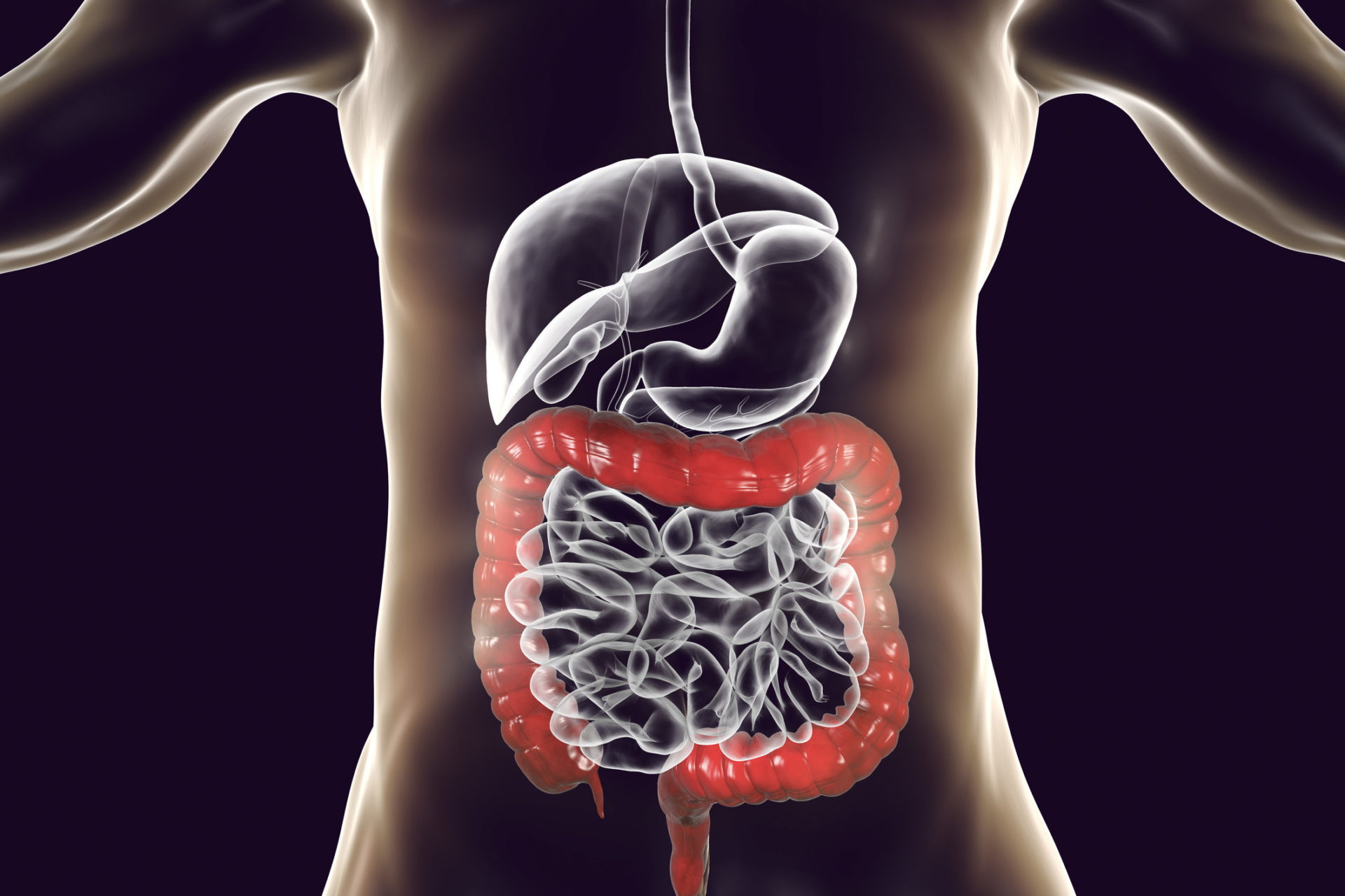 5 Essential Ways To Cleanse Your Colon Naturally