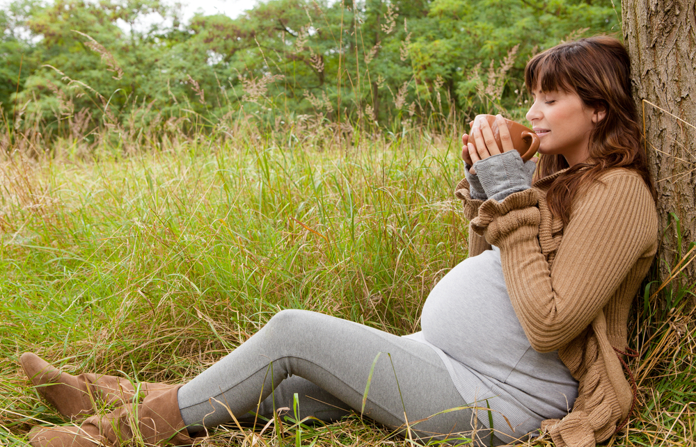 11 Great Herbs That Are Safe To Use During Pregnancy