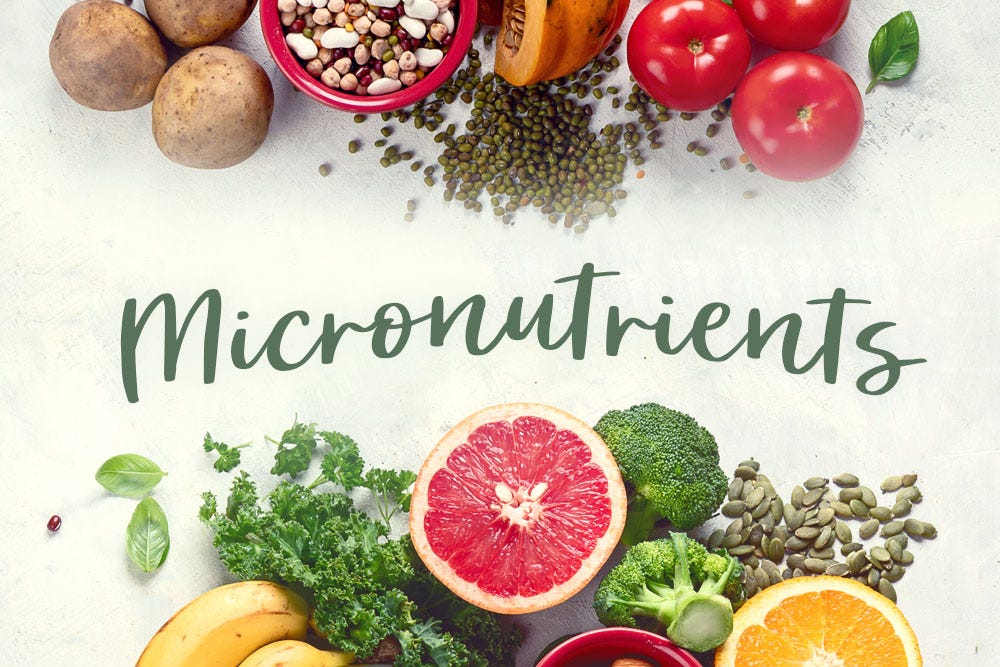 10 Things To Eat To Get All The Micronutrients You Need