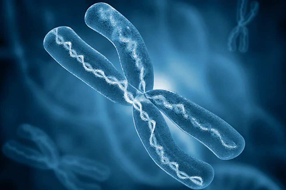 How To Regrow Your Telomeres Naturally