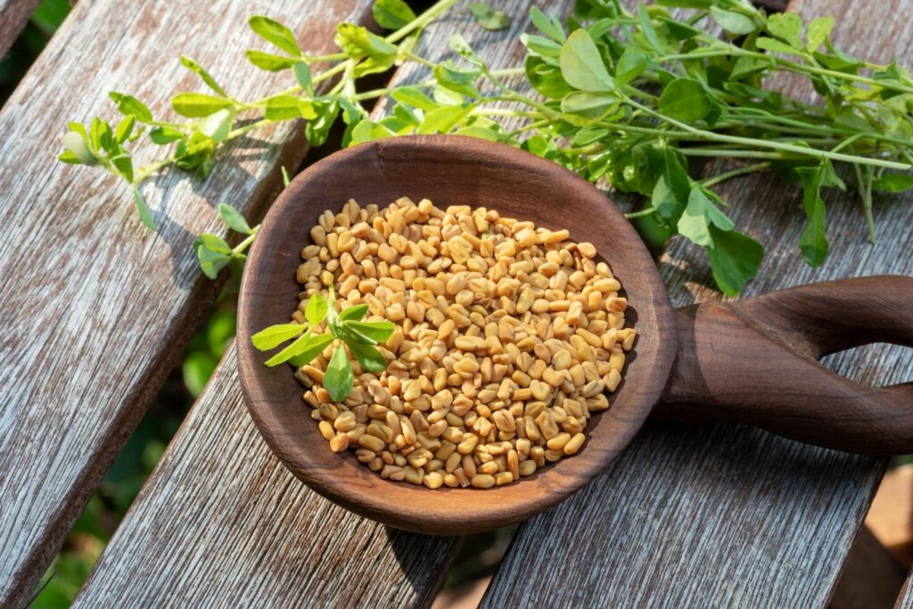 8 Impressive Health Benefits of Fenugreek