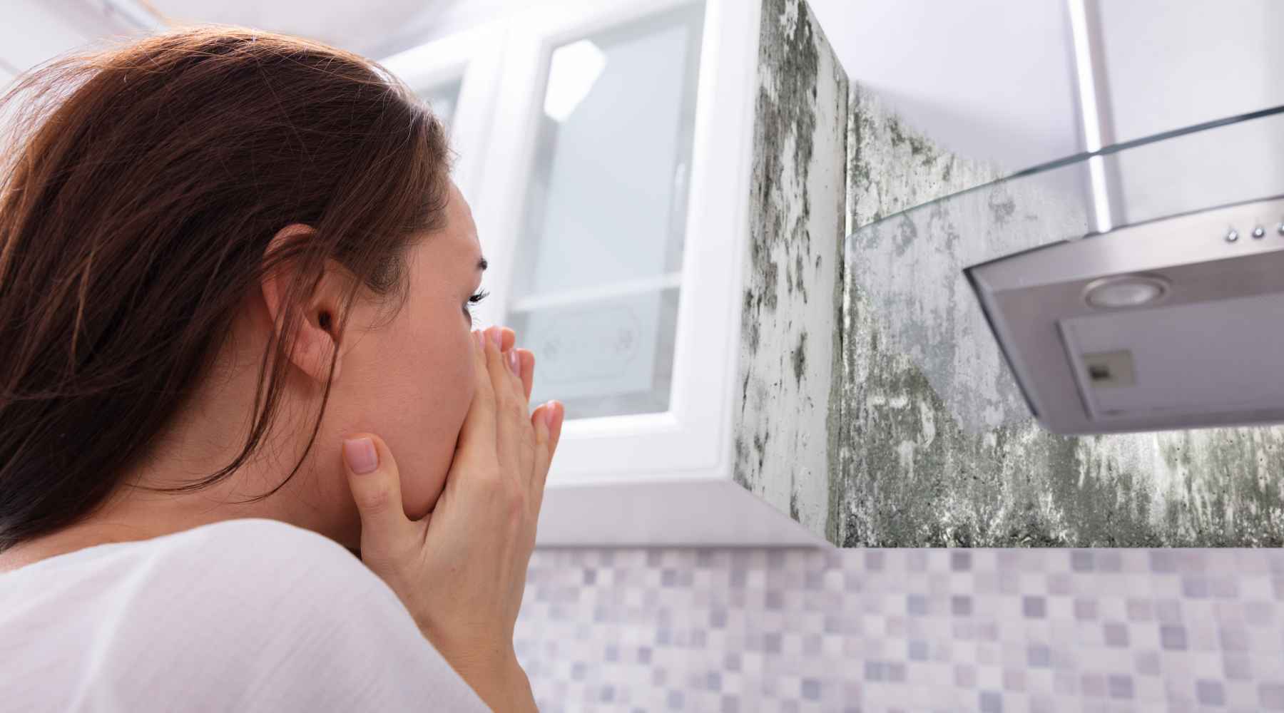 Top Natural Remedies For a Complete Mould Detox
