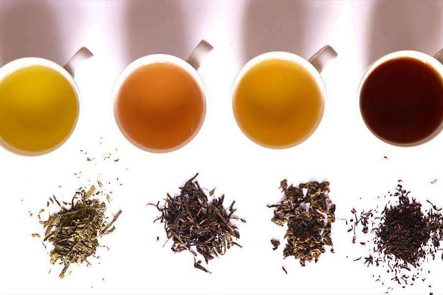 Green, Black, White or Red: How To Choose The Best Tea For You