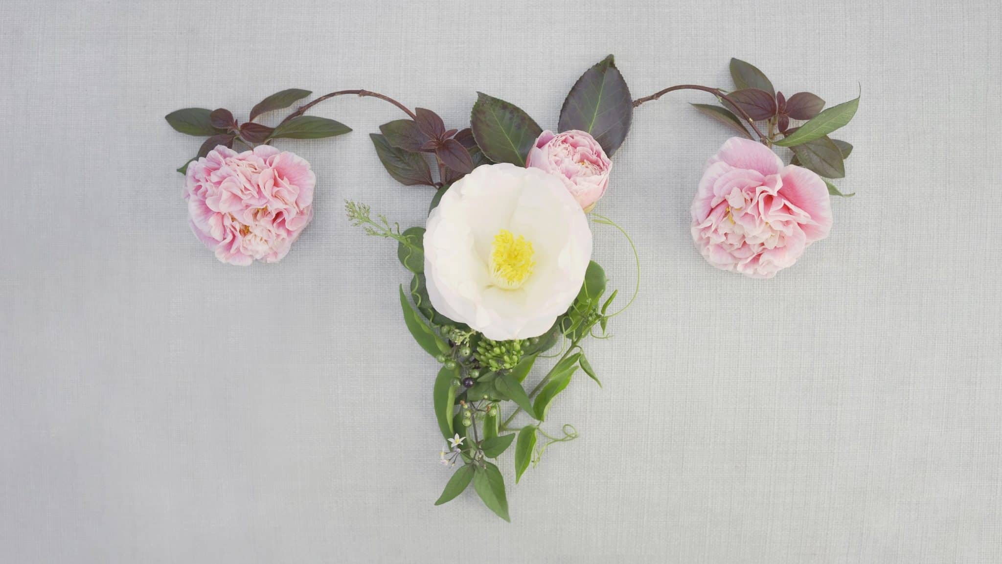 10 Best Herbs for Perimenopause Relief Naturally (Backed by Science)