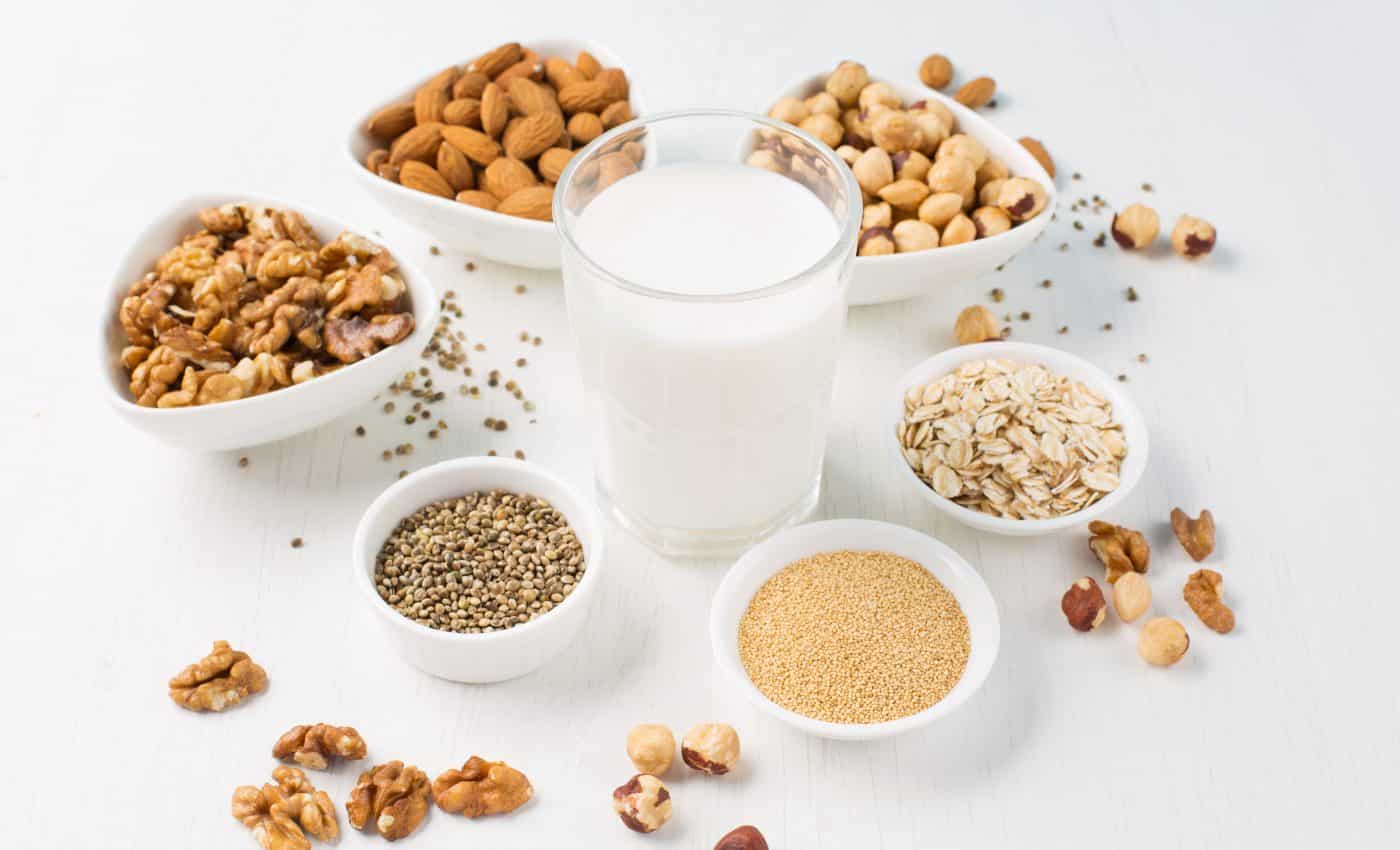 Everything You Need to Know About Plant-Based Milk