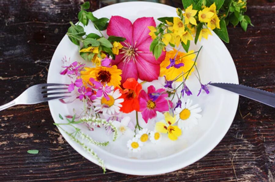 Edible Flowers and How to Use Them: A Delicious Guide to Cooking with Blooms