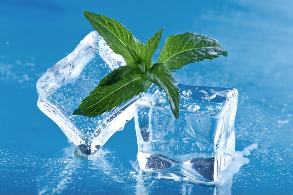 Cooling Herbs 101: How to Calm Internal Heat Naturally